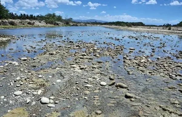 Los ríos dominicanos van camino a quedarse sin agua, advierte el presidente de la Academia de Ciencias