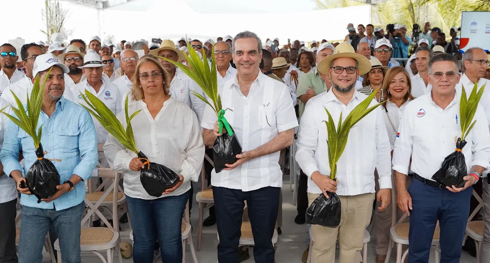 Demanda del coco RD impulsa creación de un plan nacional siembra