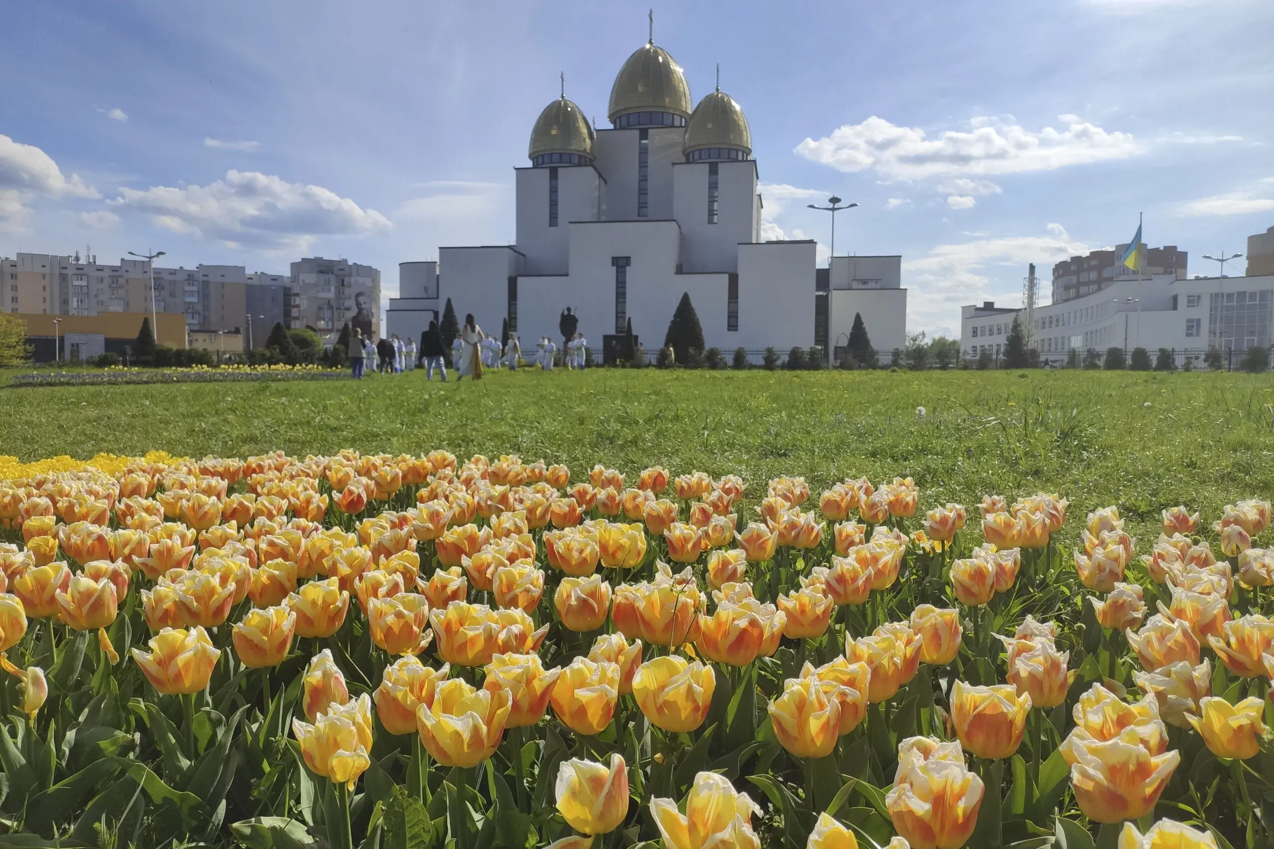 La primavera y 450.000 tulipanes ayudan a los ucranianos a lidiar con estrés de la guerra