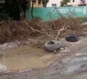 Comunitarios piden retiro de árbol caído