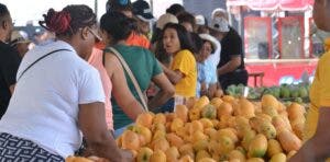 El mango es sustento de miles de familias en Baní