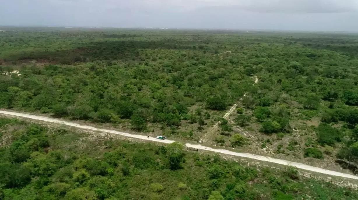 Suprema Corte de Justicia falla nuevamente contra Aeropuerto de Bávaro