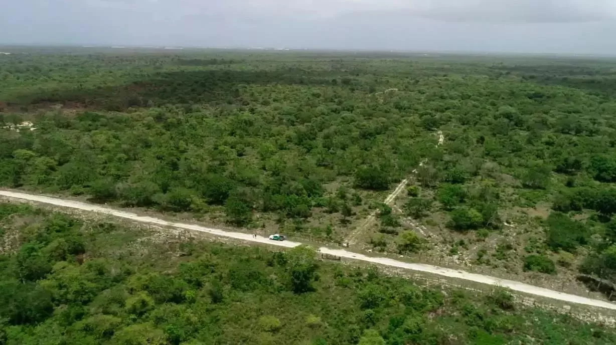 Suprema Corte de Justicia falla nuevamente contra Aeropuerto de Bávaro