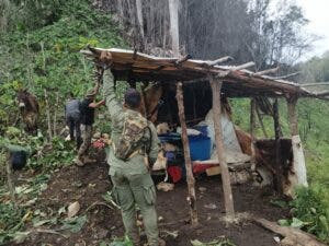 Intervención en Los Haitises llevó el arresto de 439 desaprensivos que depredaban en el parque nacional