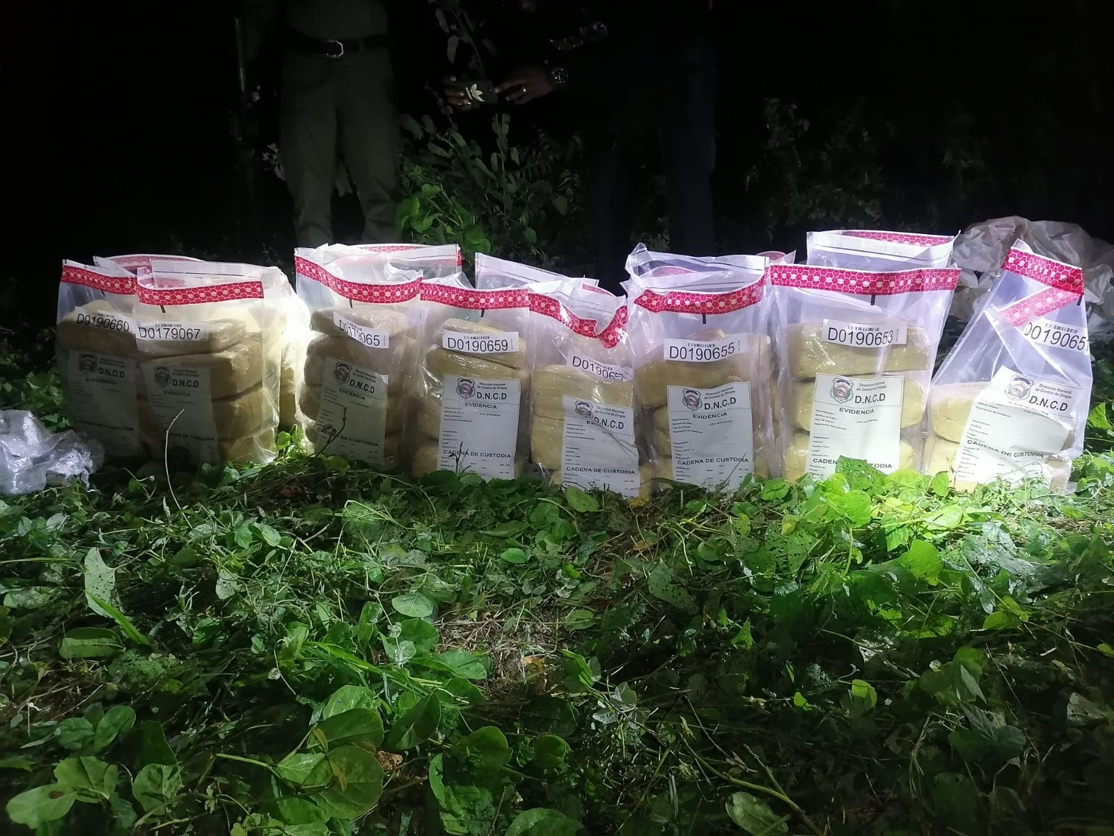Autoridades ocupan 52 pacas de marihuana en costas de Peravia; buscan varios hombres