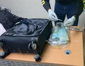 Detienen portugués que viajaba con dos laminas de cocaína hacia Bruselas