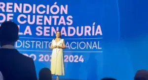 Senadora Faride Raful rinde cuentas de gestión