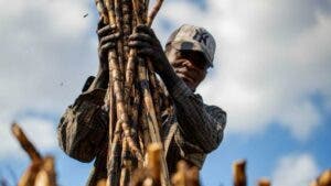 Cuánto aporta Haití (y los haitianos) a la economía de RD