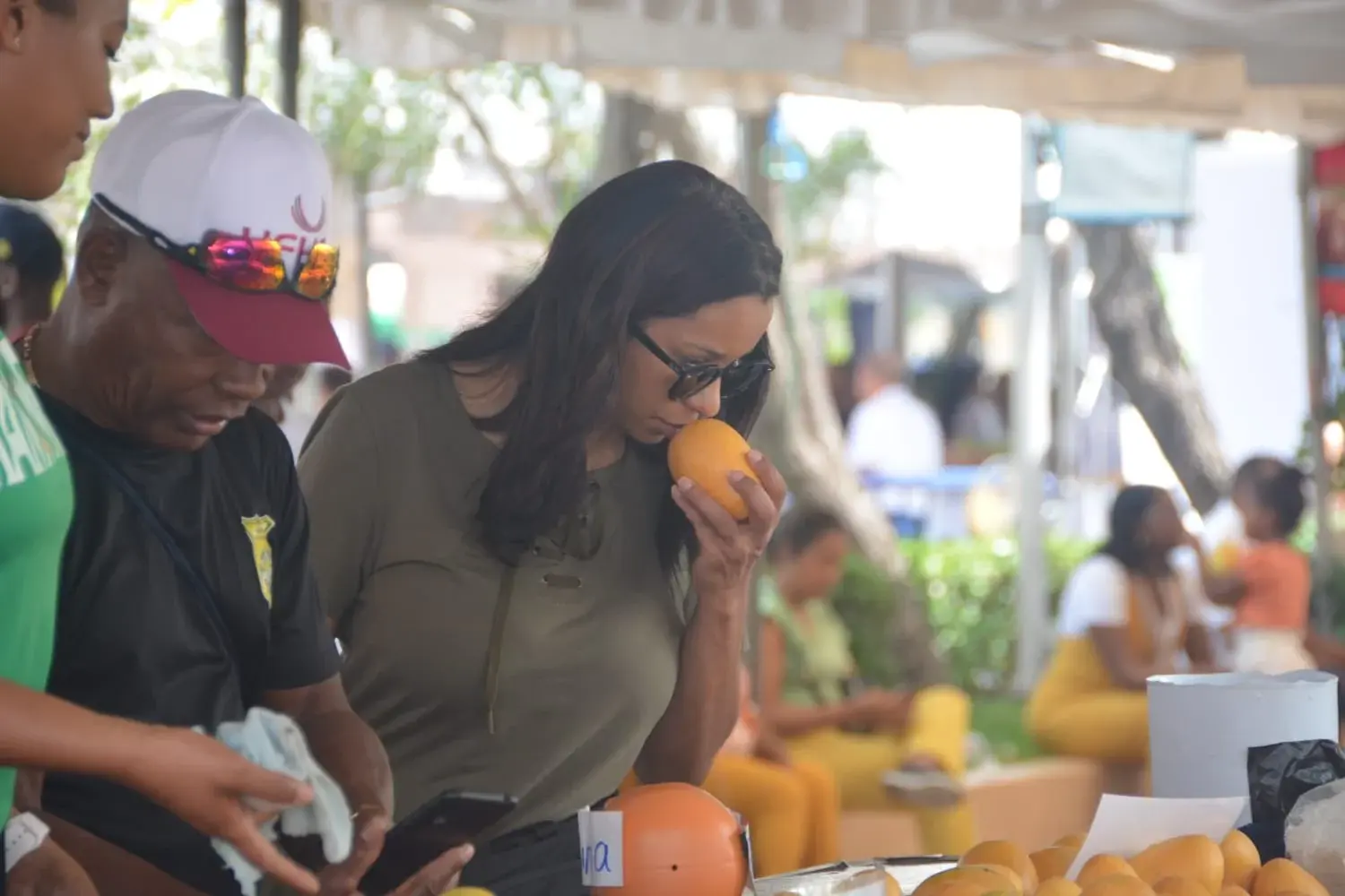 Mango banilejo, producto que dinamiza la economía de Baní