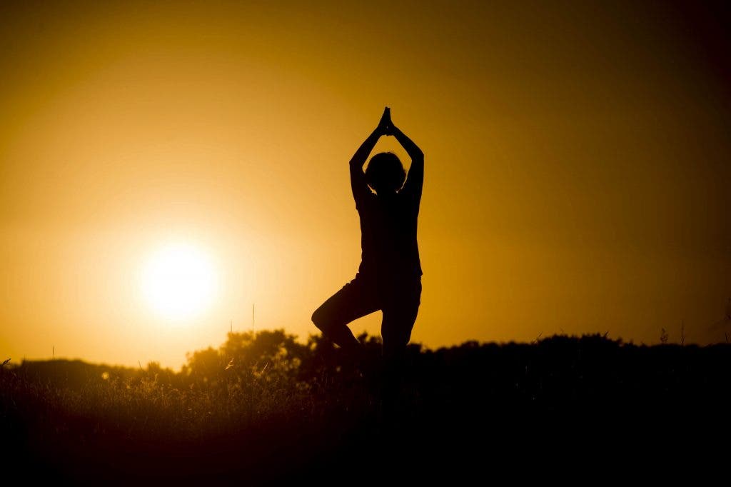 Placer y ciencia para una salud femenina plena