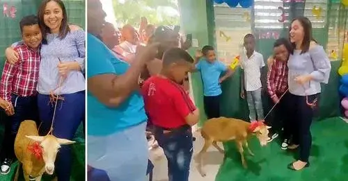 Un niño de Montecristi regala un chivo a su profesora