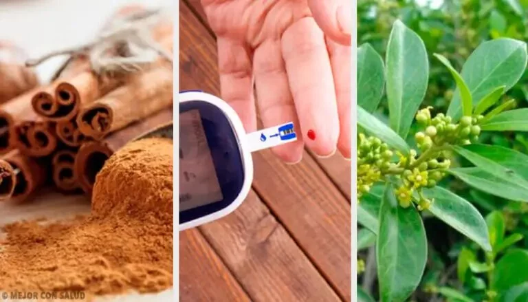 7 Plantas medicinales para el control de la diabetes: un enfoque natural