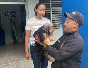 Policía recupera perrita reportada robada en Santo Domingo Norte