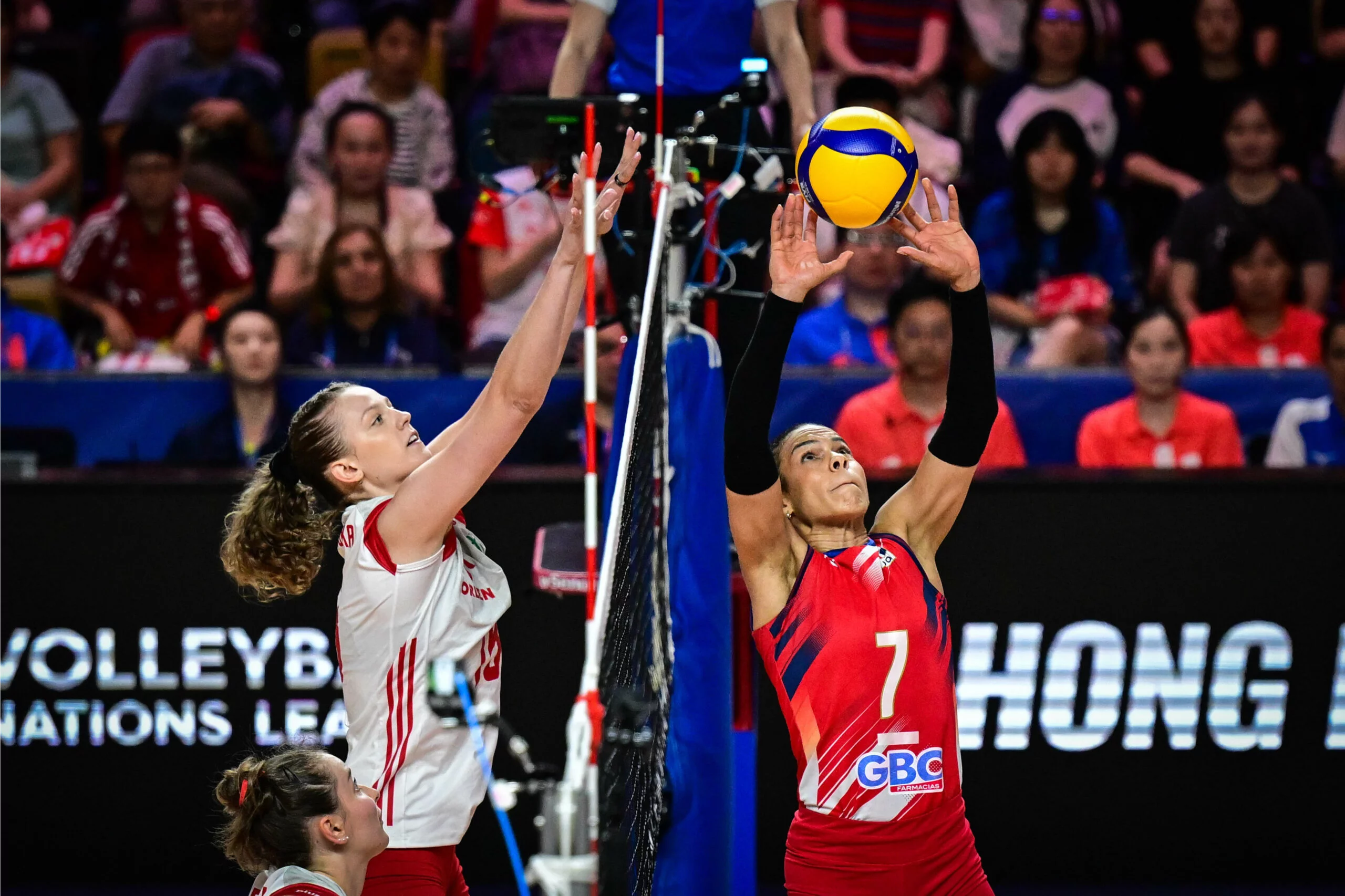 Niverka acomoda ante Polonia Niverka acomoda ante Polonia
