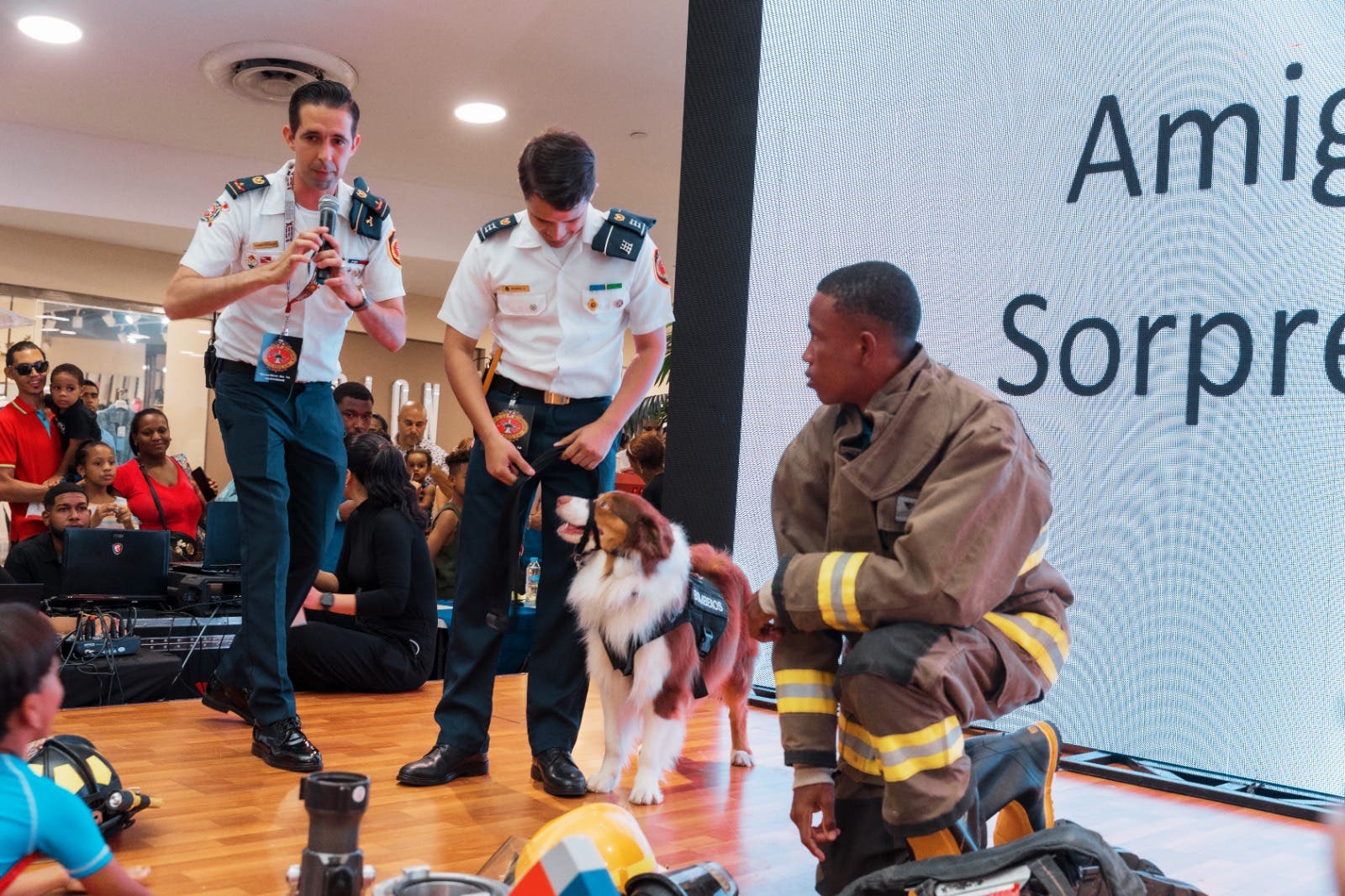 Bomberos del DN dan la bienvenida al verano con tarde divertida