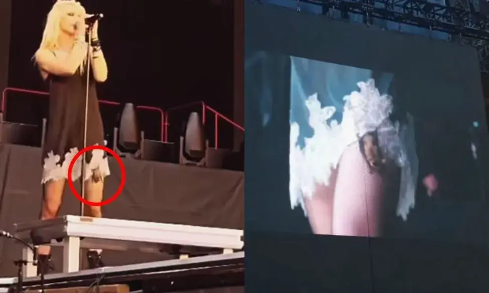 Taylor Momsen es mordida por un murciélago en pleno concierto