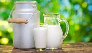 Día Mundial de la Leche: Cuáles son sus beneficios nutricionales