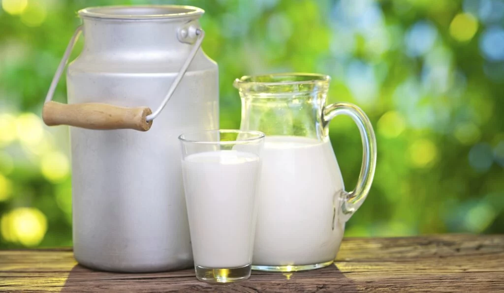 Día Mundial de la Leche: Cuáles son sus beneficios nutricionales