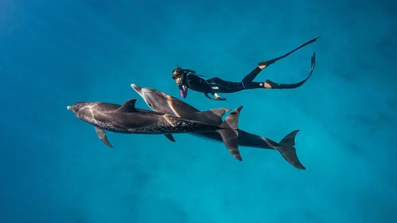 13 extraordinarias fotografías para inspirarte a cuidar el océano