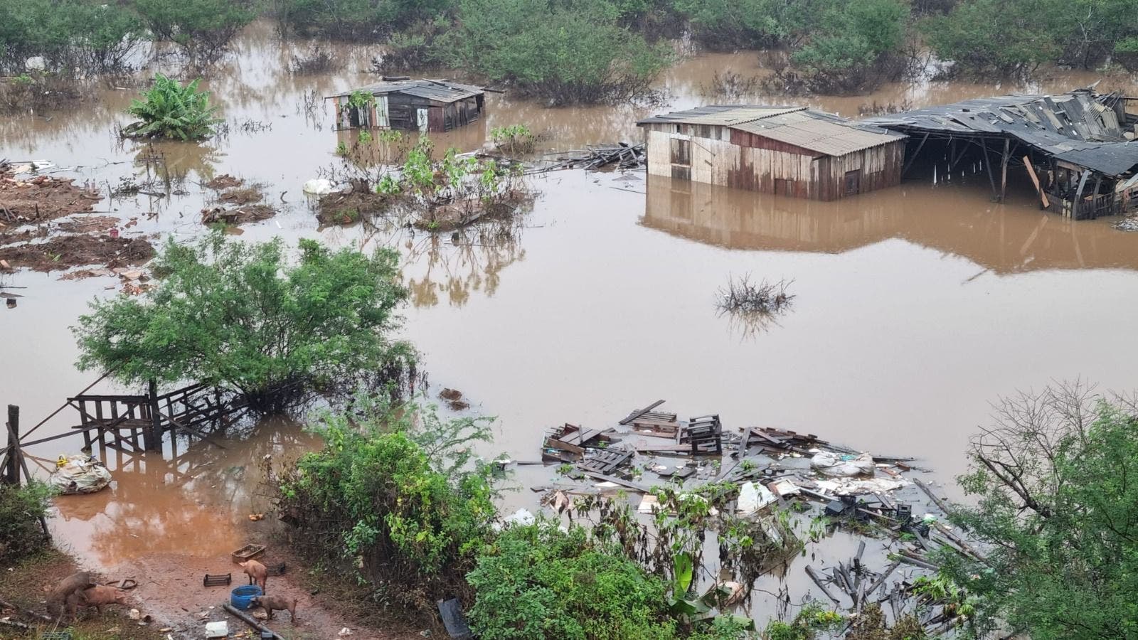 Visión Mundial: 79 % de hogares enfrenta inseguridad alimentaria luego de una emergencia climática