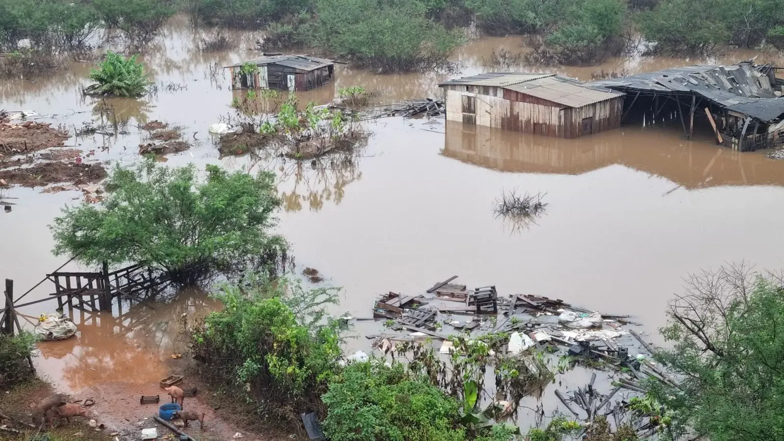 Visión Mundial: 79 % de hogares enfrenta inseguridad alimentaria luego de una emergencia climática