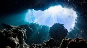 “Oxígeno oscuro”: qué es y por qué sorprende que haya sido descubierto en el océano