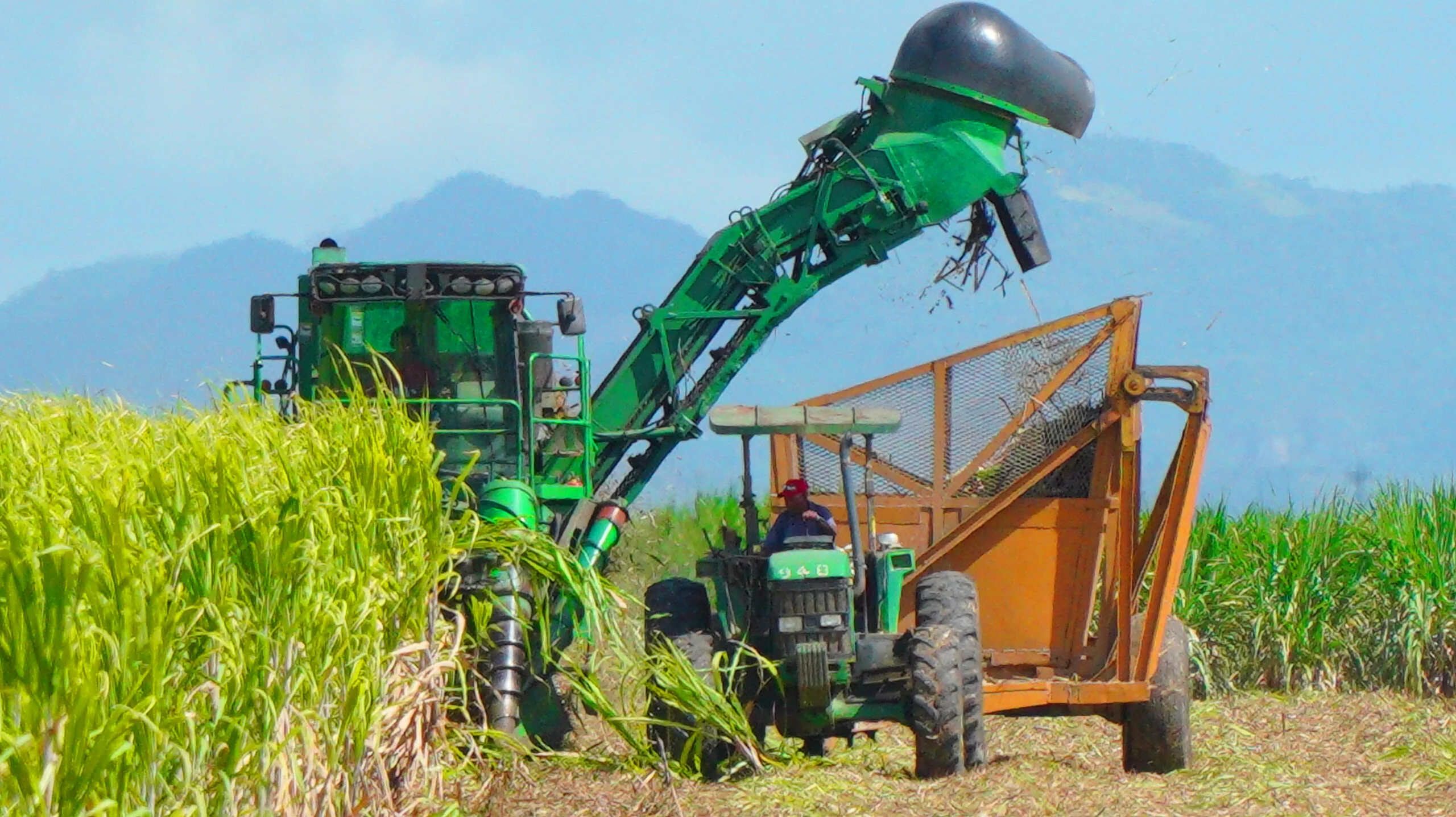 Central Romana culmina zafra con una producción de 287,565 toneladas de azúcar