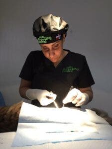 Pets Breeding Control celebra Día Mundial del Perro comprometidos con la salud canina