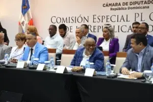 Comisión busca el mayor consenso Código Penal