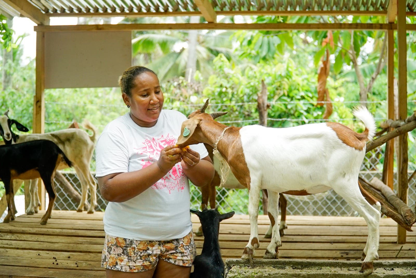 FAO y USAID brindan nuevas alternativas a productores afectados por la fiebre Porcina Africana