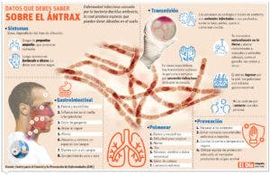 Ántrax, bacteria que enciende alarmas en el país ante posible brote en Haití