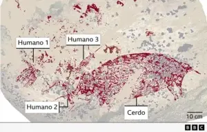 El fascinante hallazgo de las pinturas rupestres más antiguas del mundo