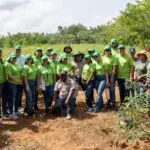 Dos Pinos con jornada reforestación en el Mes del Medio Ambiente