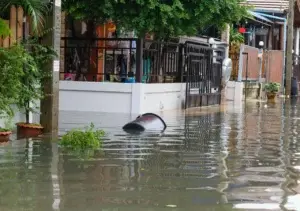 La tormenta tropical Ernesto provoca fuertes lluvias en Puerto Rico y las Islas Vírgenes