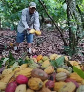 Verano con sabor a cacao y aventura en Don Lulú