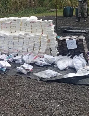 Inacif incinera mil kilos varias drogas