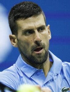 Djokovic jugará con Serbia Copa Davis