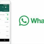 Activa WhatsApp en modo rosa con este truco fácil de usar y gratuito