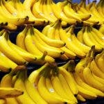 El banano criollo pierde mercado a nivel internacional