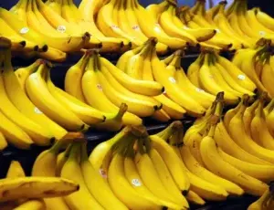 El banano criollo pierde mercado a nivel internacional