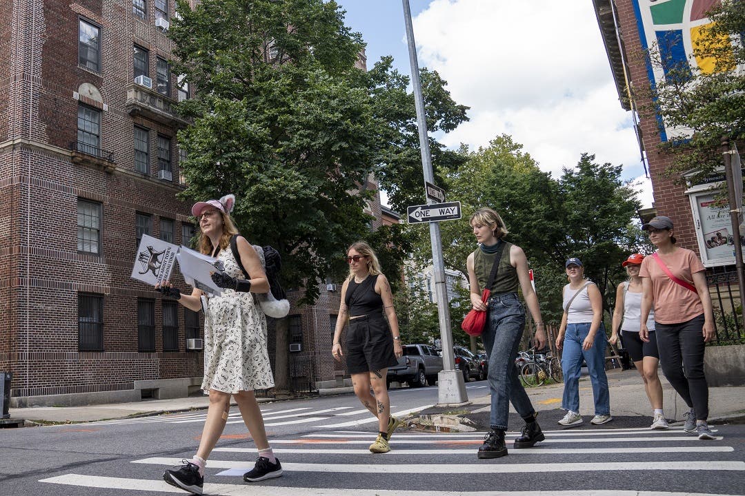 Nueva York contada por sus gatos, nueva oferta turística en la Gran Manzana