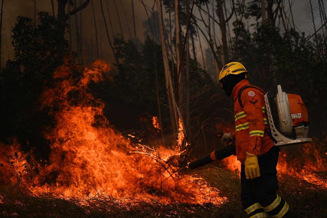 12 impactantes imágenes del incendio en Brasil