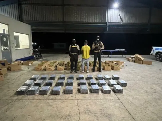 Descubren alijo de 201 paquetes de cocaína en cajas de limones; hay un detenido