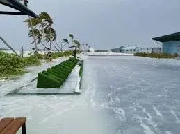 Científicos del MIT buscan salvar islas del cambio climático utilizando la fuerza del océano