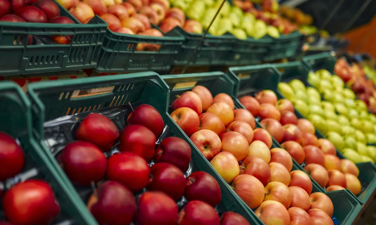 Más de 3.000 sustancias químicas en contacto con alimentos llegan al cuerpo, según estudio