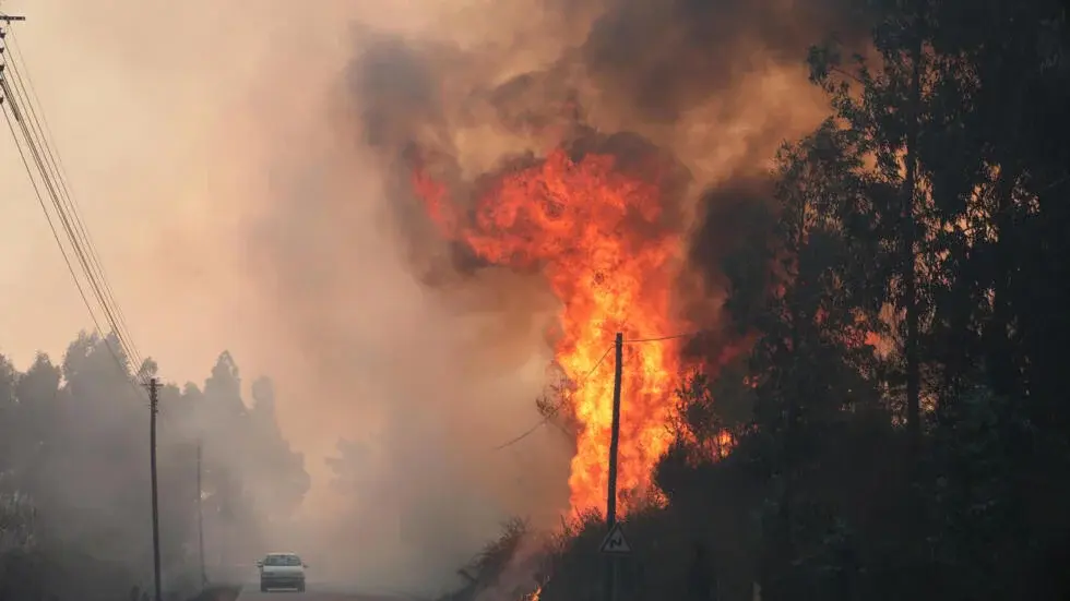 Los incendios arrasaron casi 95.000 hectáreas en Portugal en cinco días