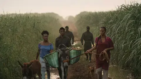 La cinta dominicana ‘Sugar Island’, premiada en Venecia por su mensaje laboral y ambiental