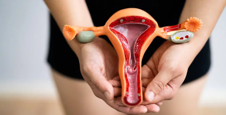 Cómo ocurre la menstruación y por qué a algunas mujeres les duele más que a otras