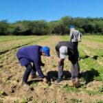 La tecnificación de riego es vía para racionalizar uso agua en agricultura