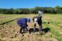 La tecnificación de riego es vía para racionalizar uso agua en agricultura